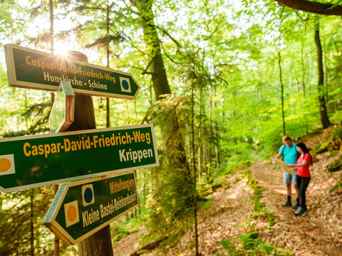 Caspar-David-Friedrich-Weg: Abzeig zum Mittelhangweg