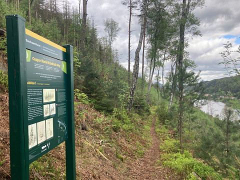 Infotafel Nr. 3 am Caspar-David-Friedrich-Weg "Waldbilder I"