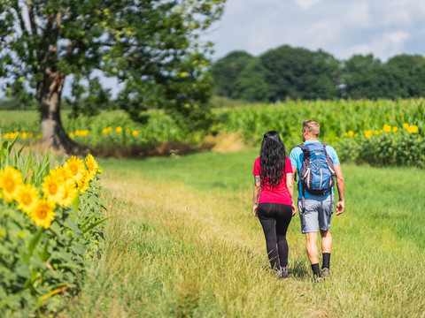 Feldweg zum Wolfsberg