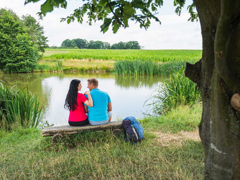 Teich unterhalb des Wolfsberges