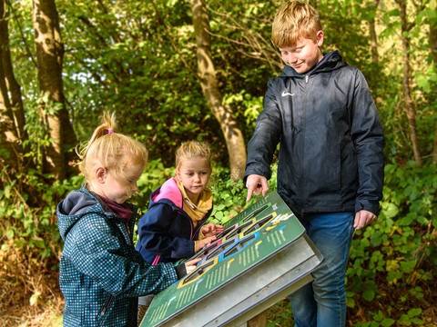 Bienenlehrpfad Eitorf