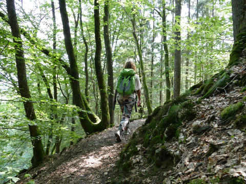 Unterwegs auf dem Künstlerweg
