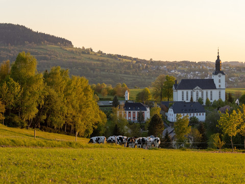 Blick auf Mildenau