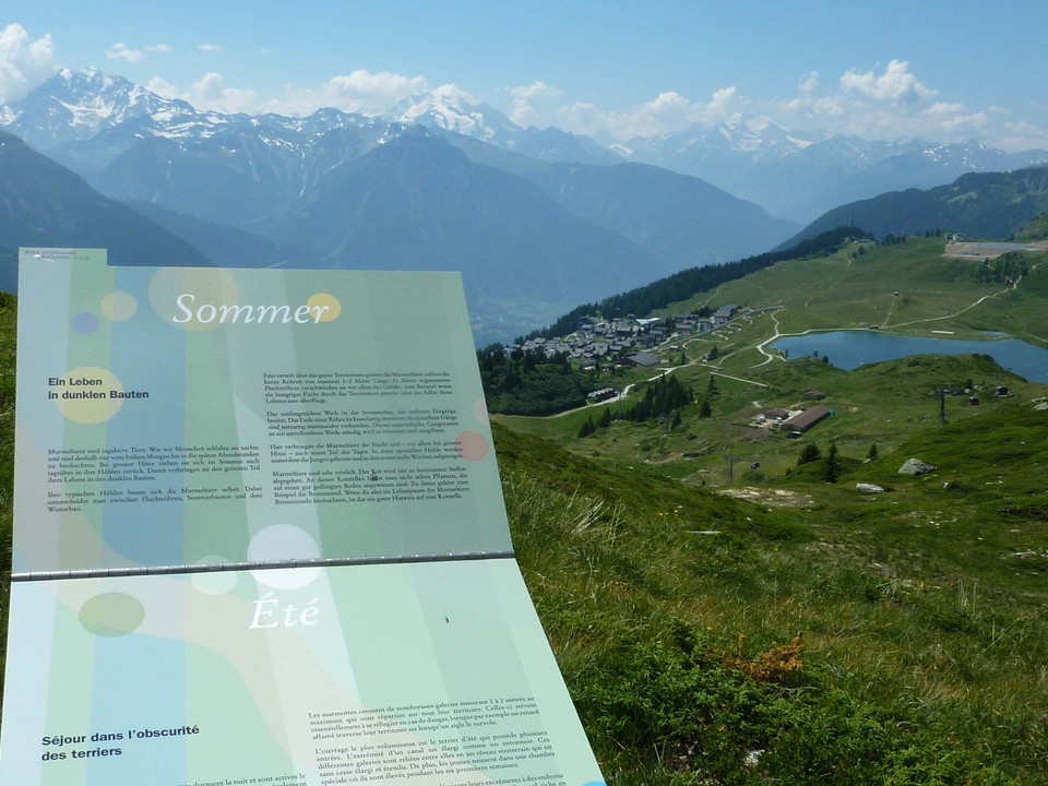 Themenweg Murmeltierlernpfad zum Bettmersee