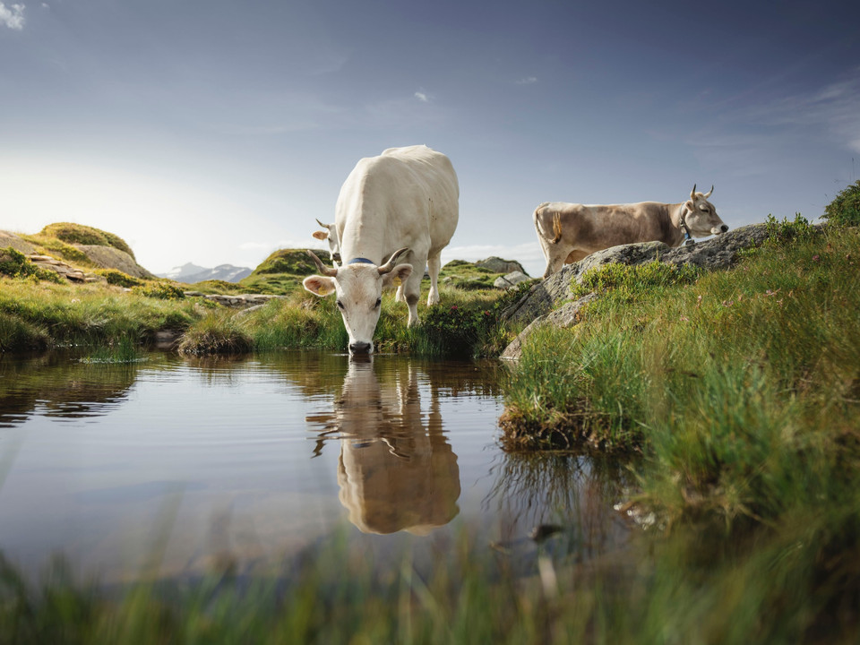 Wanderung vom Bettmerhorn via Riederfurka zur Riederalp