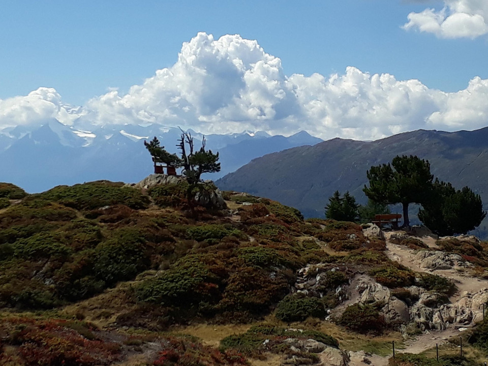Wanderung vom Bettmerhorn via Riederfurka zur Riederalp
