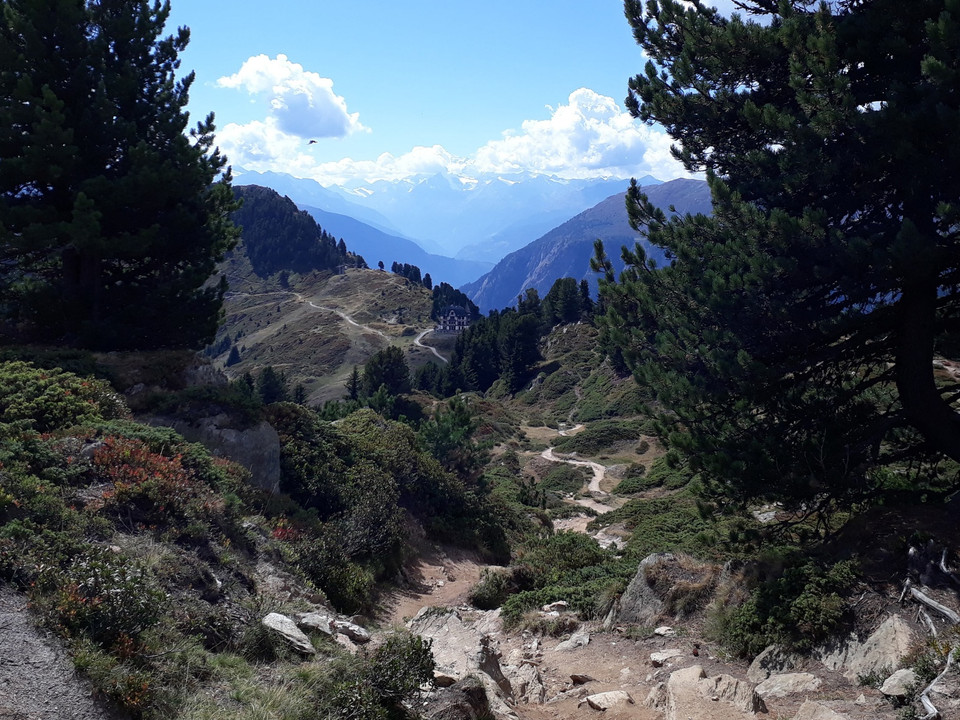 Wanderung vom Bettmerhorn via Riederfurka zur Riederalp