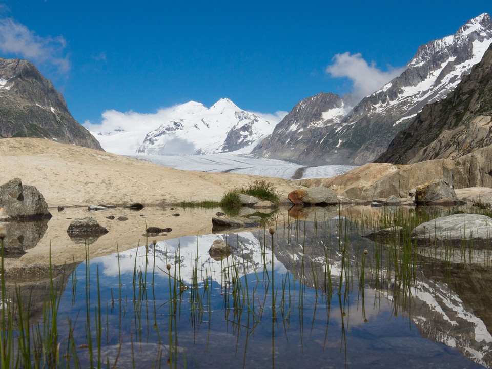 Grosse Drei-Seen-Wanderung: Bettmersee, Blausee, Märjelensee