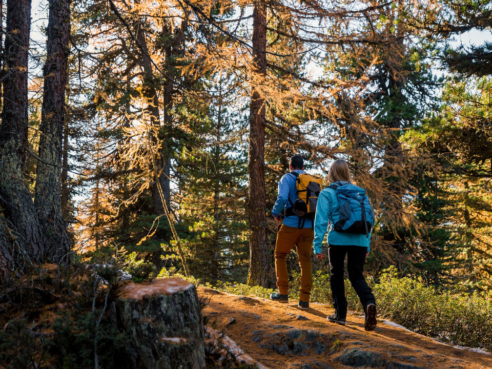 Herbstwanderung in der Aletsch Arena