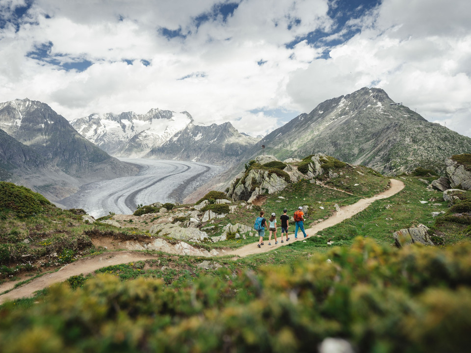 Wanderung Riederfurka zur Moosfluh in der Aletsch Arena
