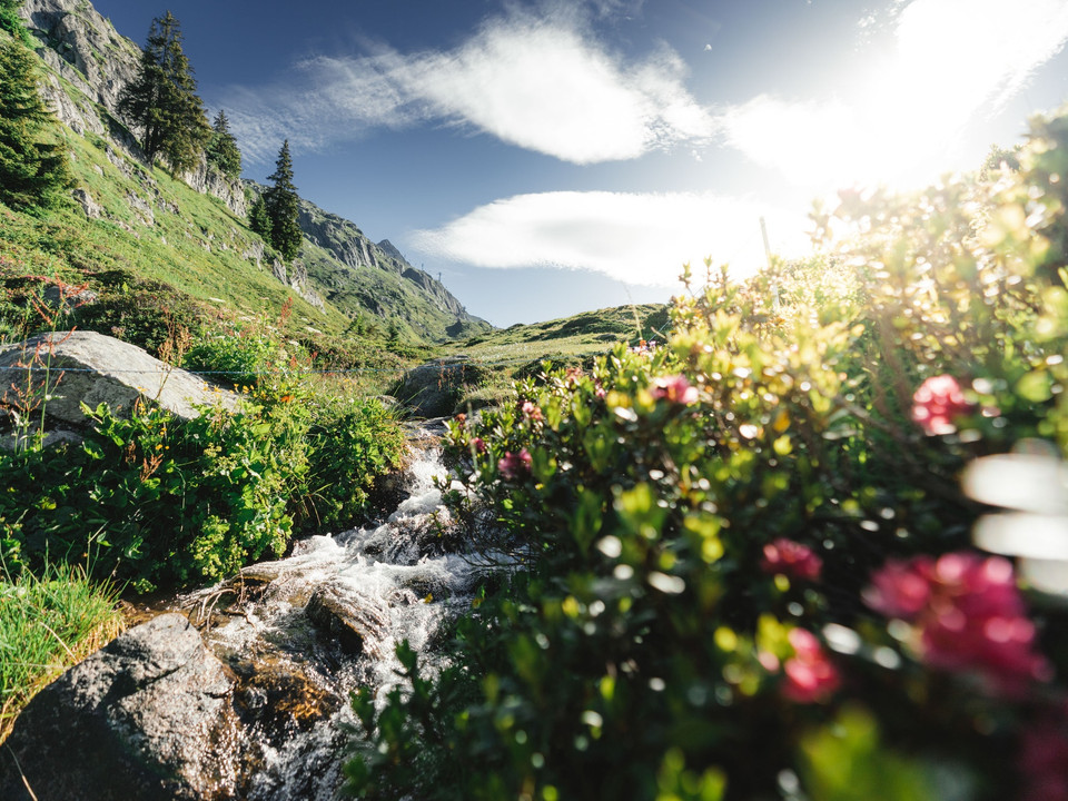 Bach beim Bettmersee