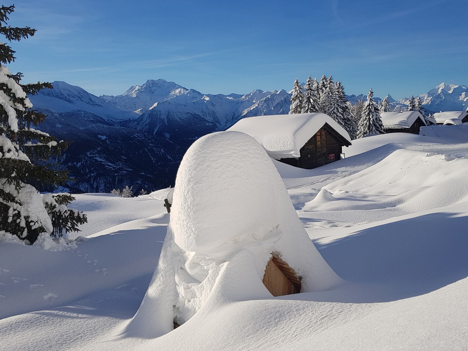 Winterwanderweg Betten Dorf - Goppisberg - Greich