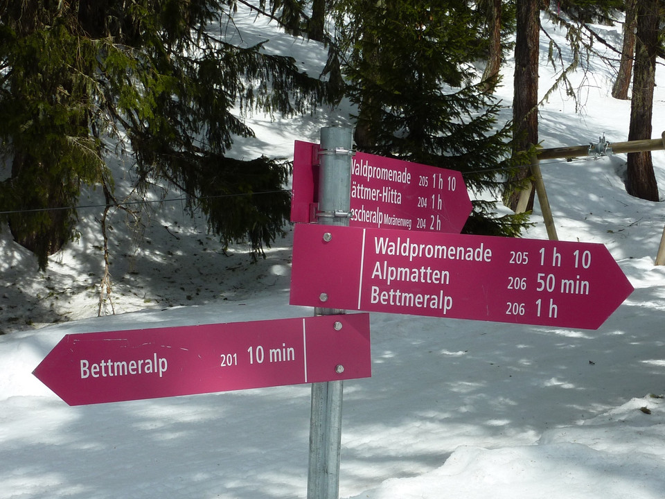 Winterwanderung Rundweg Bettmeralp "Waldpromenade"