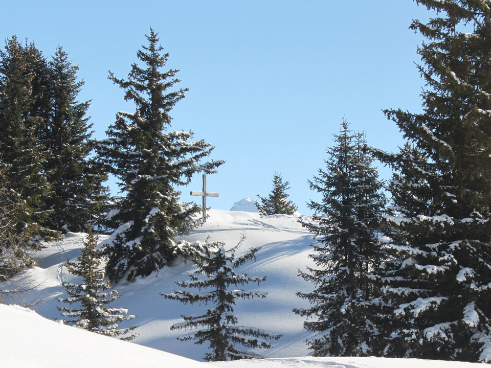 Winterwanderung Rundweg Bettmeralp "Waldpromenade"