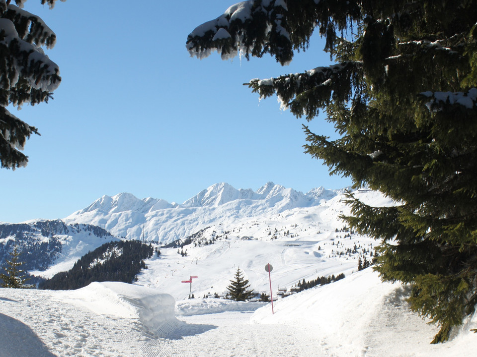 Winterwanderung Rundweg Bettmeralp "Waldpromenade"