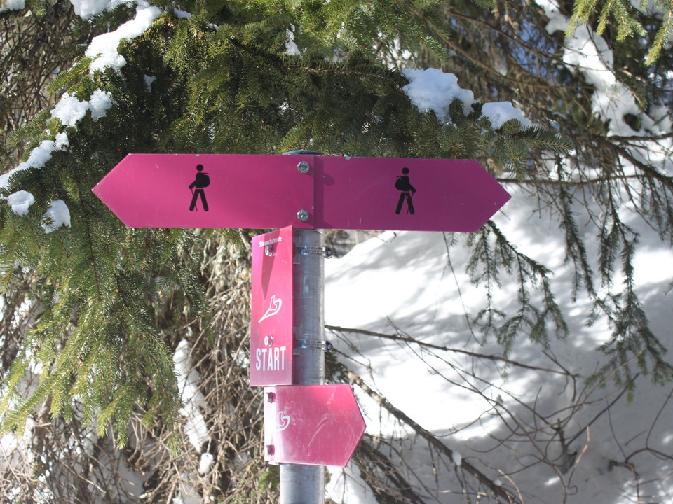 Winterwanderung Rundweg Bettmeralp "Waldpromenade"