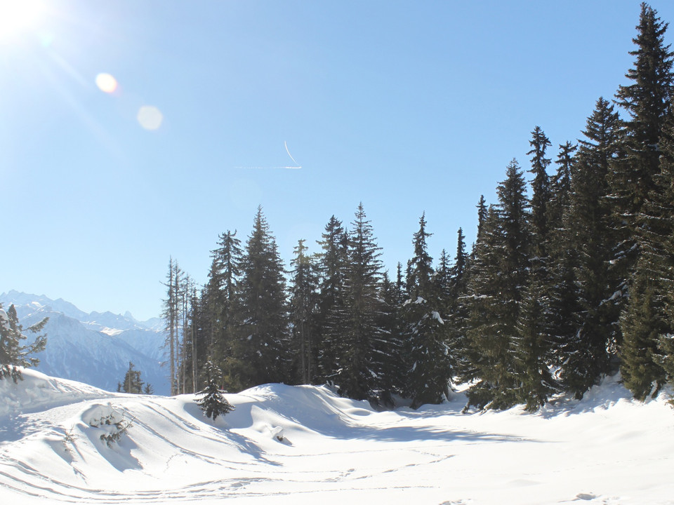 Winterwanderung Bettmeralp - Ried - Bettmeralp «Waldpromenade»