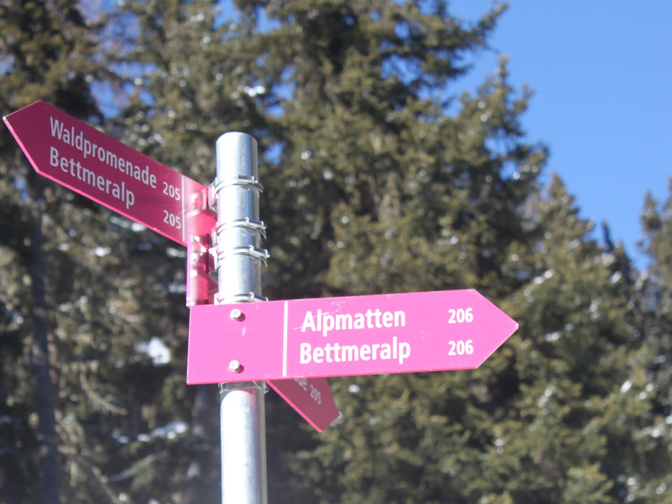 Winterwanderung Bettmeralp - Ried - Bettmeralp «Waldpromenade»