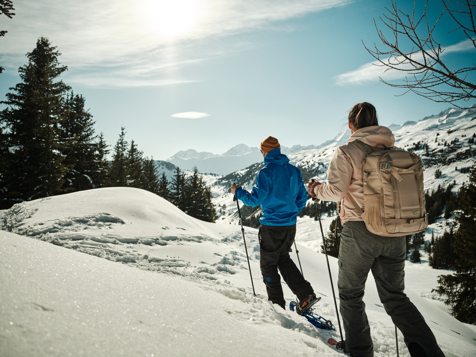 Bettmeralp - Riederalp Trail