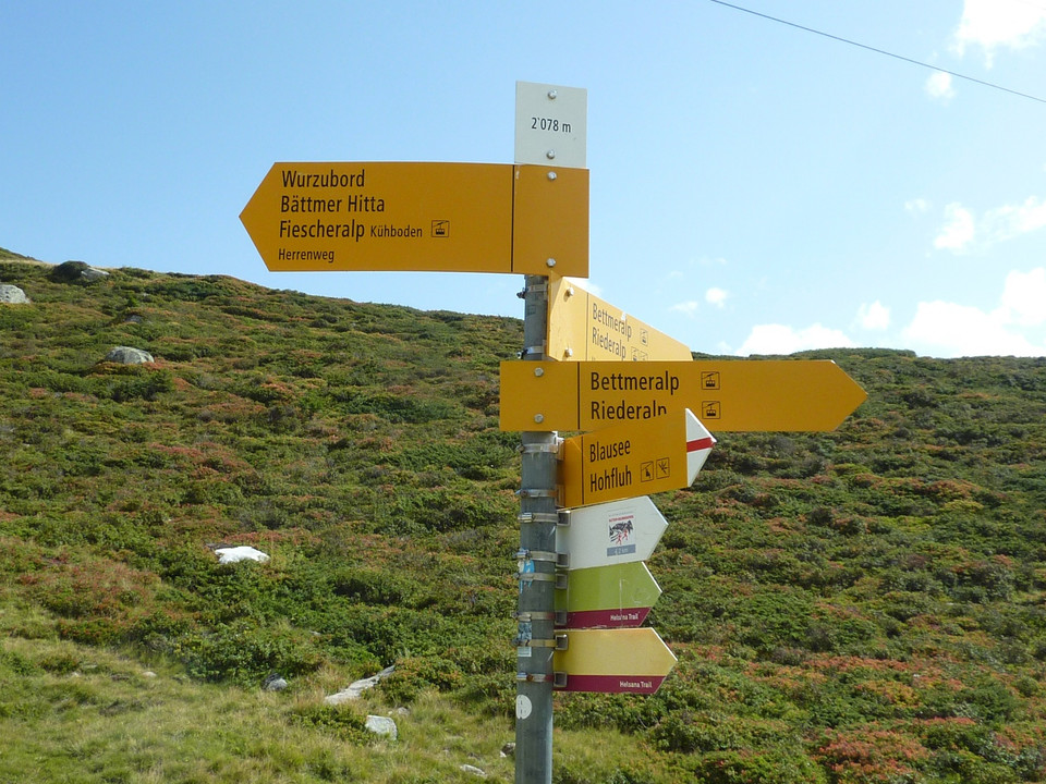 Wanderung von der Fiescheralp zur Riederalp via "Herrenweg" und "Aletschpromenade"