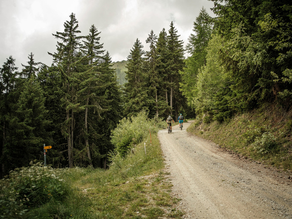 E-Mountainbike- Biketrail Bettmer Loop - Aletsch Arena