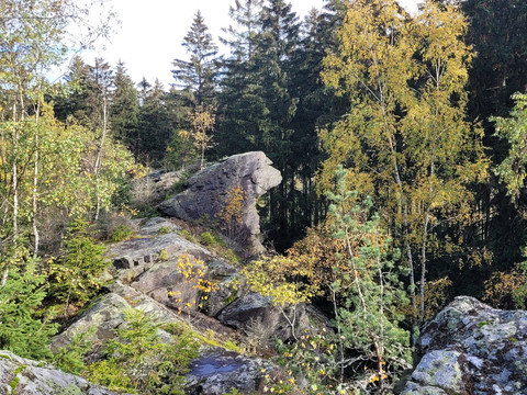 Löwenkopf am Wendelstein im Herbst