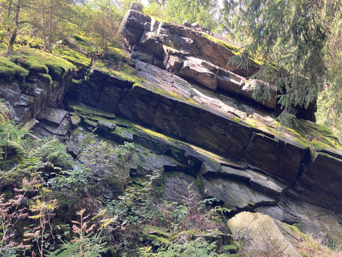 überkippte Falte am Rehhübelfelsen am Felsenweg 1