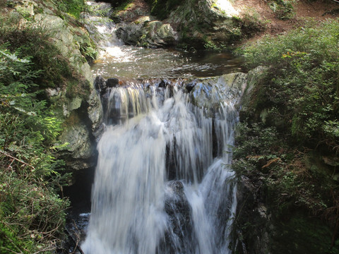 Rissfälle nahe Hammerbrücke Felsenweg 2