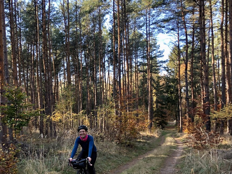 Meine Lieblingstour: Mit dem Gravelbike in der Dübener Heide