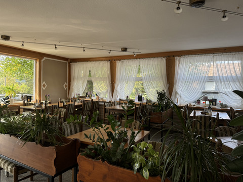Jägerhof - Innenbereich Heller, gemütlicher Gastraum mit Holzmöbeln, großen Fenstern und vielen Pflanzen.
