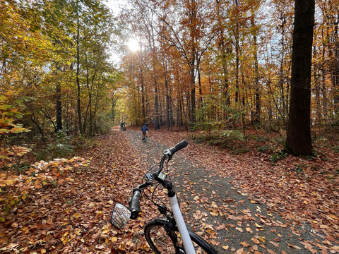 Fahrradstrecke Rosenthal