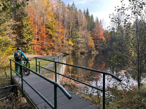 Brücke am Fuchsteich