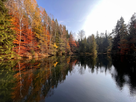 Fuchsteich im Herbst