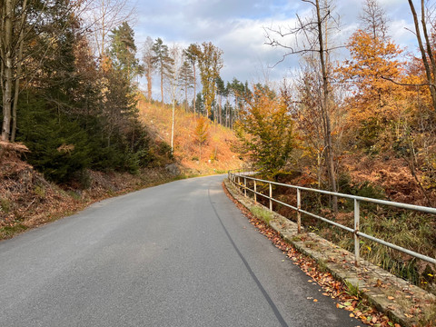 Straße Richtung Krippen