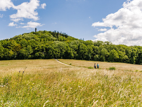 Wandern am Geisingberg