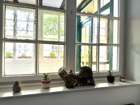 Jugendherberge Radevormwald - Fensterrahmen Dekoration Ein Fensterbrett mit Igel- und Pflanzenfiguren vor einer Fensterscheibe mit Outdoor-Blick.