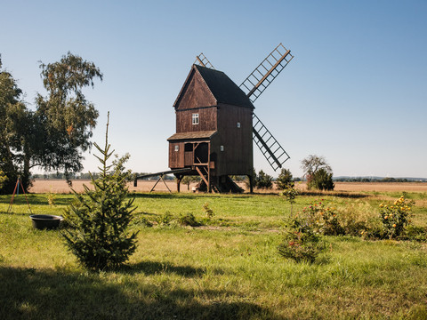 Bockwindmühle Altbelgern