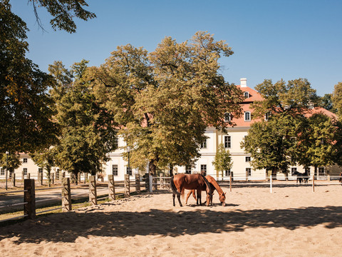 Landgestüt Graditz