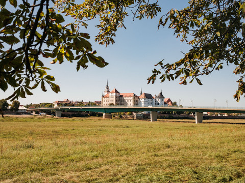 Blick auf Torgau