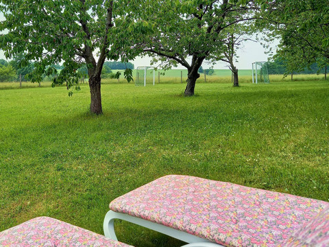 Liegestühle unter Bäumen mit Blick zum Fußballfeld