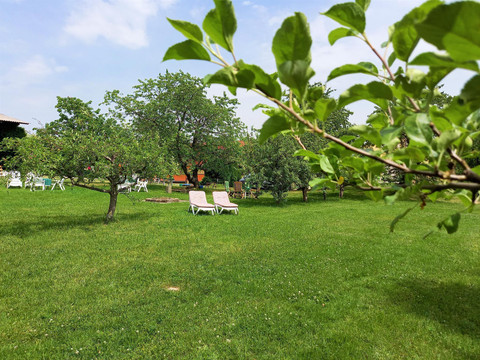 Garten, Lagerfeuer, weitläufige Obstbaumwiese
