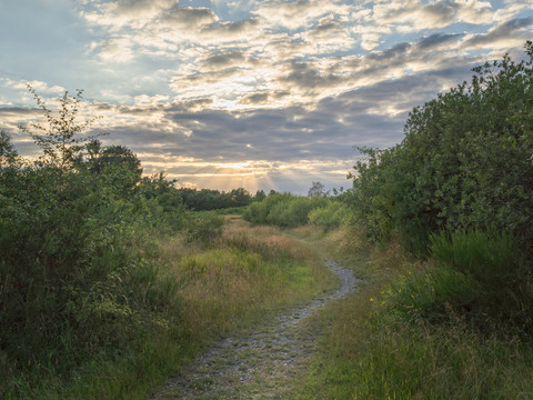 VPW Nähe Weidenteich