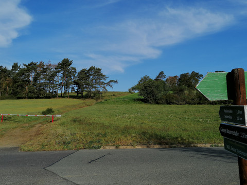NSG Großer Weidenteich bei Schneckengrün