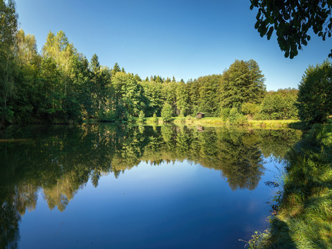 Teich an der Pfaffenmühle Plauen