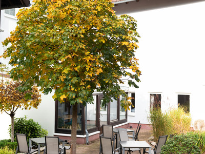 HarzHold - Auszeit in Lerbach - Innenhof