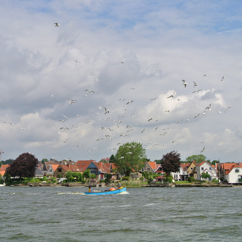 Fischerboot auf der Schlei