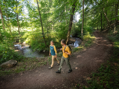 Flussmäander Kleine Triebisch bei Piskowitz