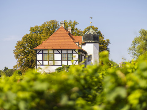 Weingut und Weinbaumuseum Hoflößnitz Radebeul