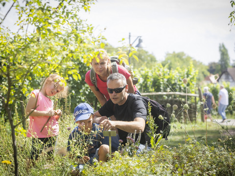 Familie in Radebeul Radebeul