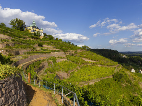 Spitzhaus Radebeul Radebeul Weinhänge